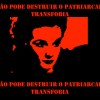 Breve resposta a uma feminista radical transfóbica no que tange raça, gênero e sexualidade