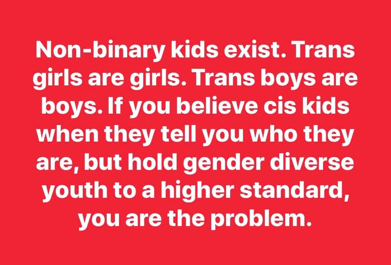 A imagem pode conter: texto que diz "Non-binary kids exist. Trans girls are girls. Trans boys are boys. If you believe cis kids when they tell you who they are, but hold gender diverse youth to a higher standard, you are the problem."